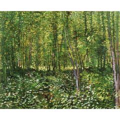 Undergrowth Painting Reproduction