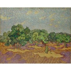 Olive Trees Painting Reproduction