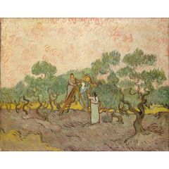 Women Picking Olives Painting Reproduction