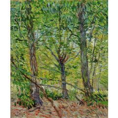 Trees and Undergrowth Painting Reproduction