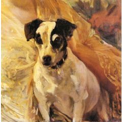 Portrait of a Jack Russell Painting Reproduction
