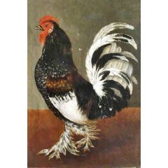 A Cockerel Facing Left Painting Reproduction