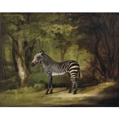 Zebra Painting Reproduction