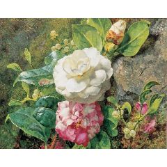 Camelias Painting Reproduction