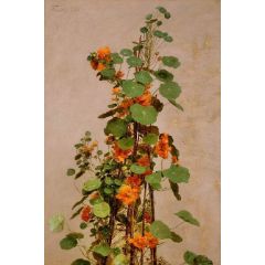 Nasturtiums Painting Reproduction