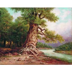 An Old Oak by the River Painting Reproduction