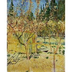 Apricot Trees in Blossom Painting Reproduction