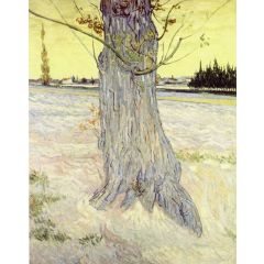 Trunk of an Old Yew Tree Painting Reproduction