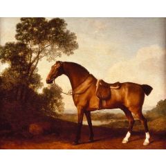 A Saddled Bay Hunter Painting Reproduction