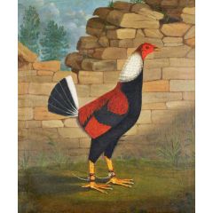 The Trimmed Cock Painting Reproduction