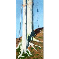 Trunks of Beeches Painting Reproduction