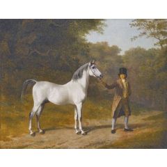 The Wellesley Arabian Painting Reproduction
