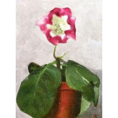 Gloxinia Painting Reproduction
