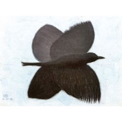 Bird in Flight Painting Reproduction