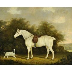 A Saddled Grey Hunter with a Spaniel in a Wooded Landscape Painting Reproduction