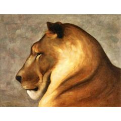 Head of a Lion Painting Reproduction