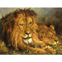 A Lion and Lioness Painting Reproduction