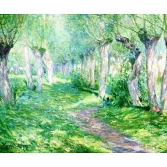 Shifting Shadows Painting Reproduction