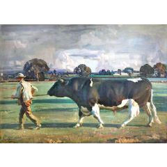 The Friesian Bull Painting Reproduction