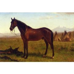 Portrait of a Horse Painting Reproduction