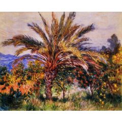 A Palm Tree at Bordighera Painting Reproduction