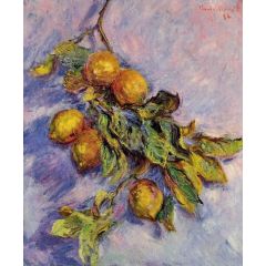 Lemons on a Branch Painting Reproduction