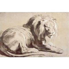 Etude of lion Painting Reproduction