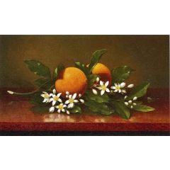 Two Oranges with Orange Blossoms Painting Reproduction