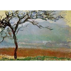 Landscape at Giverny Painting Reproduction