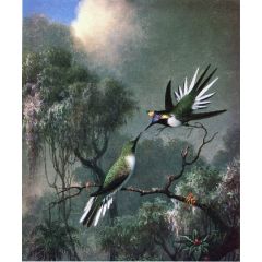 Two Hummingbirds, \Sun Gems\, Heliactin Cormuta Painting Reproduction