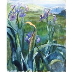 Blue Iris, Study Painting Reproduction