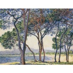 Trees by the Seashore at Antibes Painting Reproduction