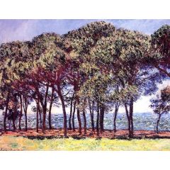 Pine Trees, Cap d’Antibes Painting Reproduction