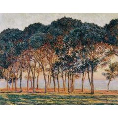 Under the Pine Trees at the End of the Day Painting Reproduction