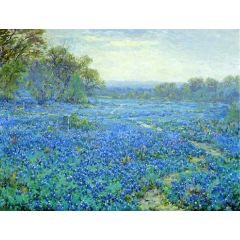 Bluebonnet Scene Painting Reproduction