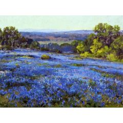 Bluebonnets, Late Afternoon, North of San Antonio Painting Reproduction