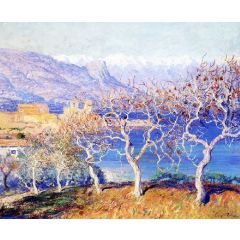 Fig Trees, Antibes Painting Reproduction