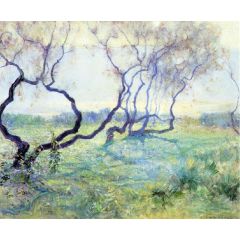 Tamarisk Trees in Early Sunlight Painting Reproduction