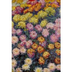 Bed of Chrysanthemums Painting Reproduction