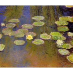 Water-Lilies Painting Reproduction