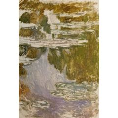 Water-Lilies, study Painting Reproduction