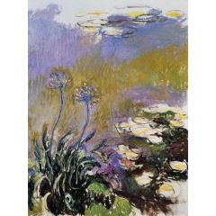 Agapanthus Painting Reproduction