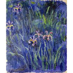 Irises Painting Reproduction