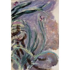 Irises Painting Reproduction