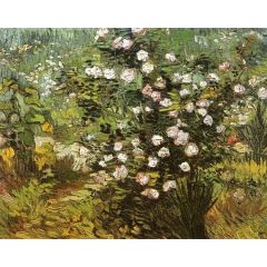 Rosebush in Blossom Painting Reproduction