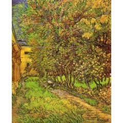 The Garden of Saint-Paul Hospital Painting Reproduction