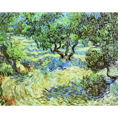 Olive Grove: Bright Blue Sky Painting Reproduction