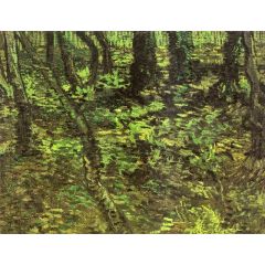 Undergrowth with Ivy Painting Reproduction