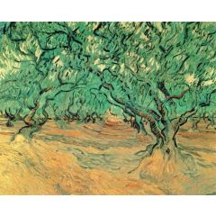 Olive Trees Painting Reproduction