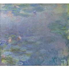 Pale Water-Lilies